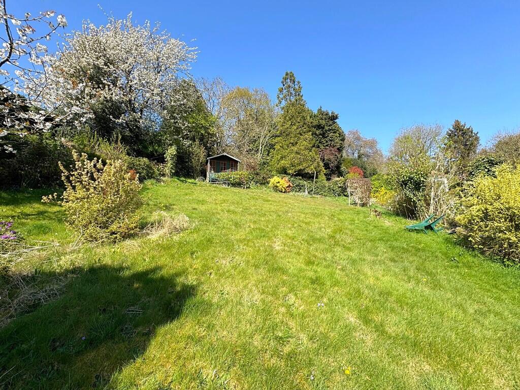 Garden 4