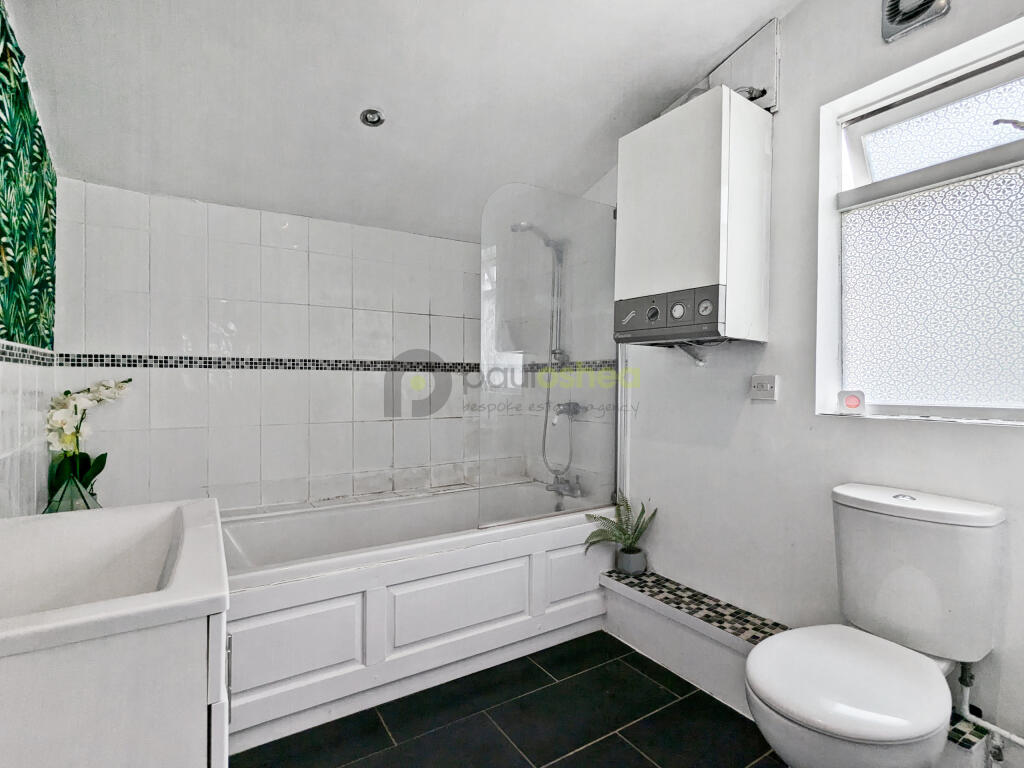 PXL_20240725_105949476 (1)