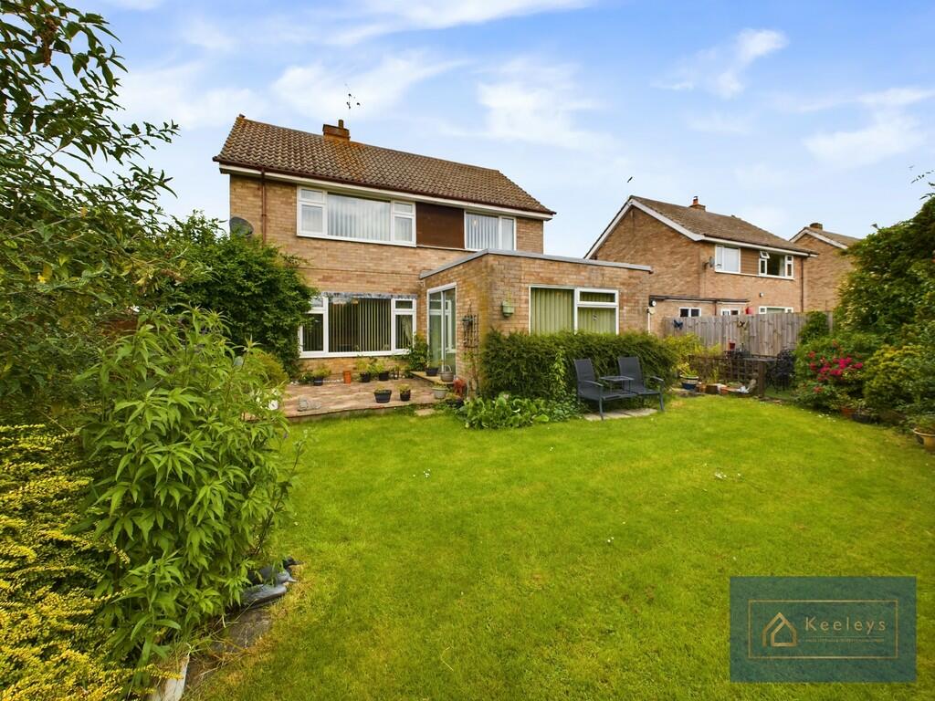 Back Garden