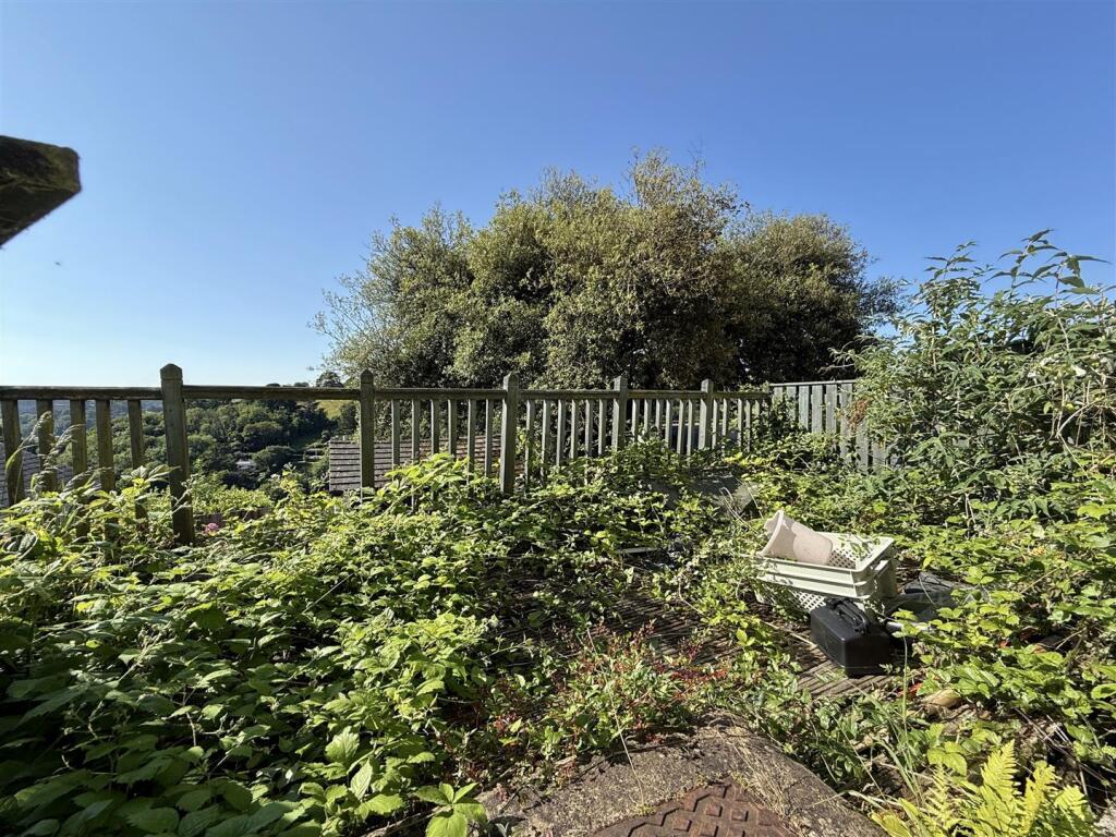 Front Garden.jpg