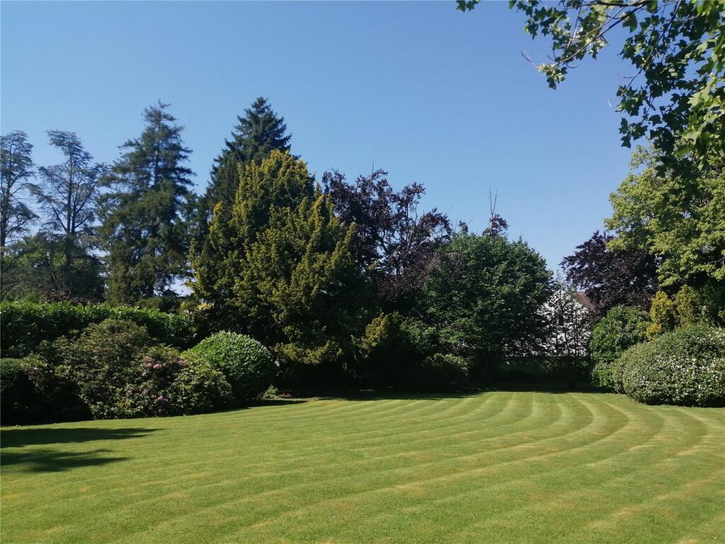 Garden In Summer