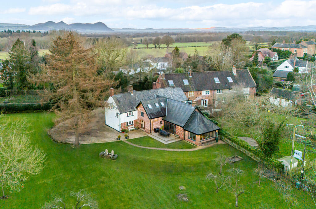 67c8584e62b14-l-1238970DR (5)