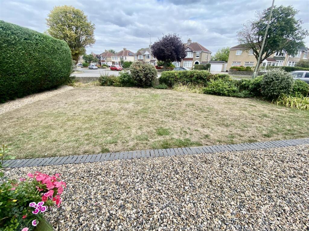 IMG_2910.jpg