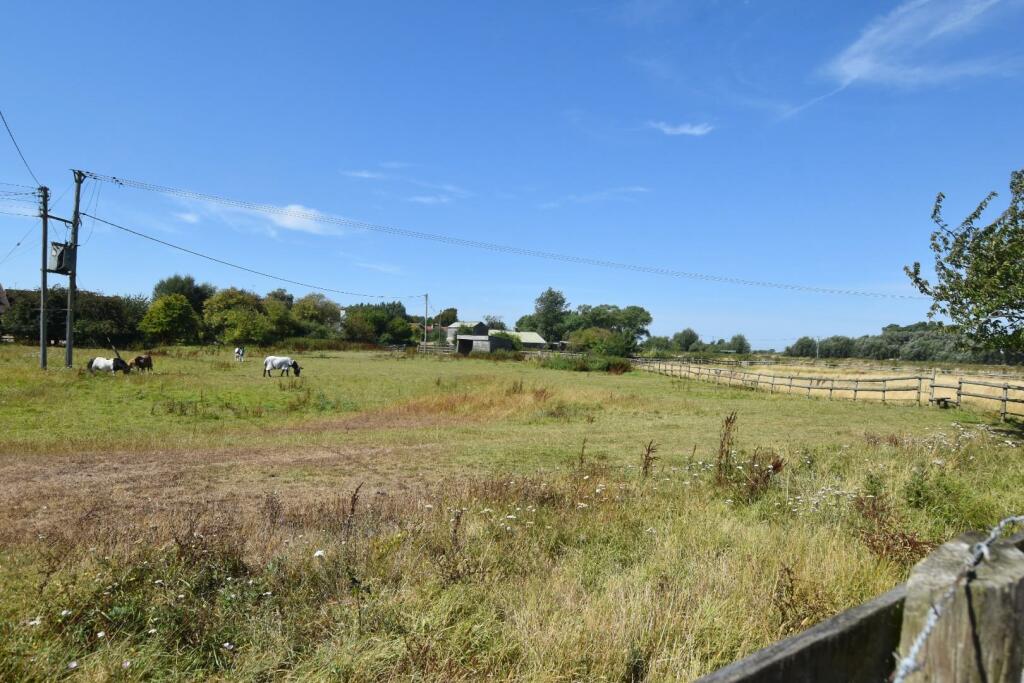 DSC_0031.JPG