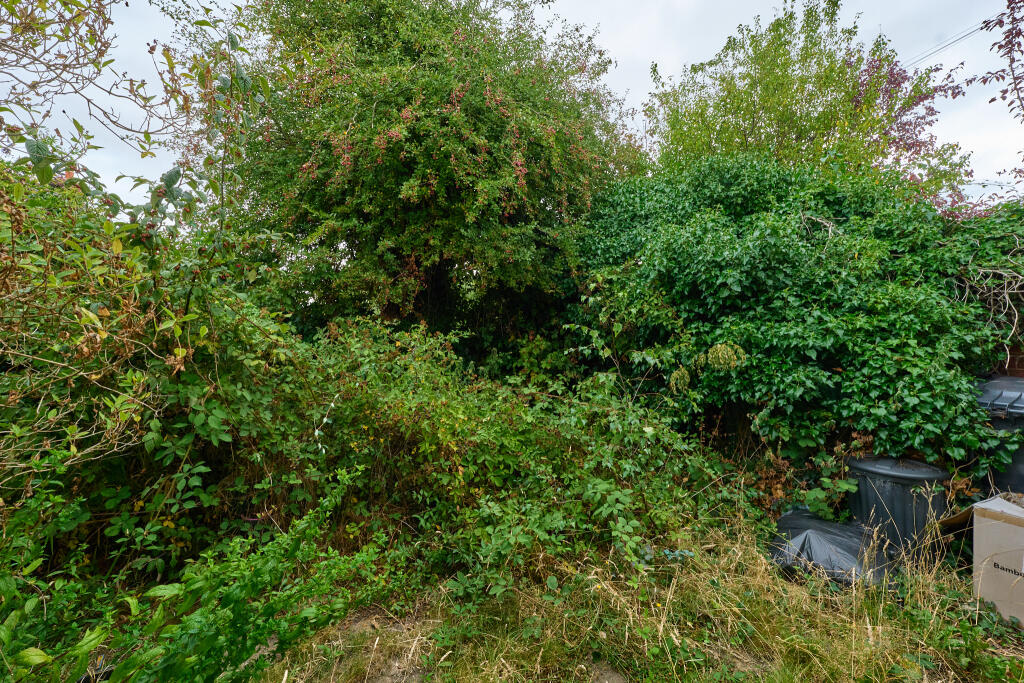 P1518547 T202508071845.jpg