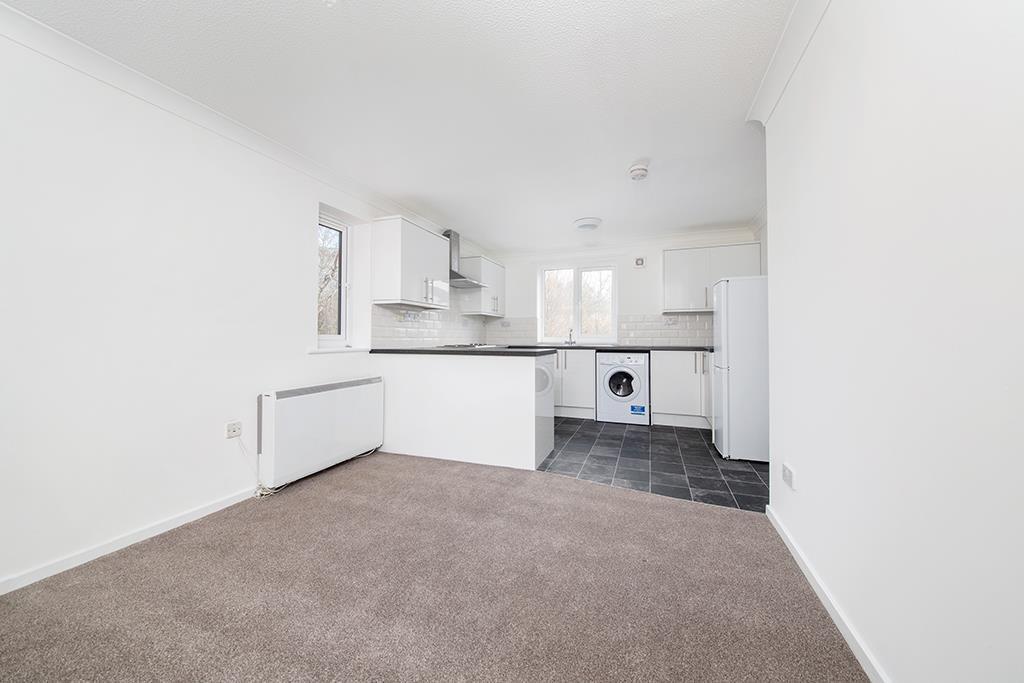Kitchen and living space