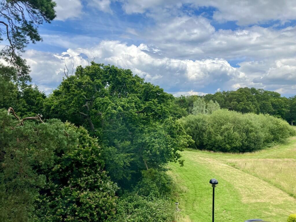 View from the lounge