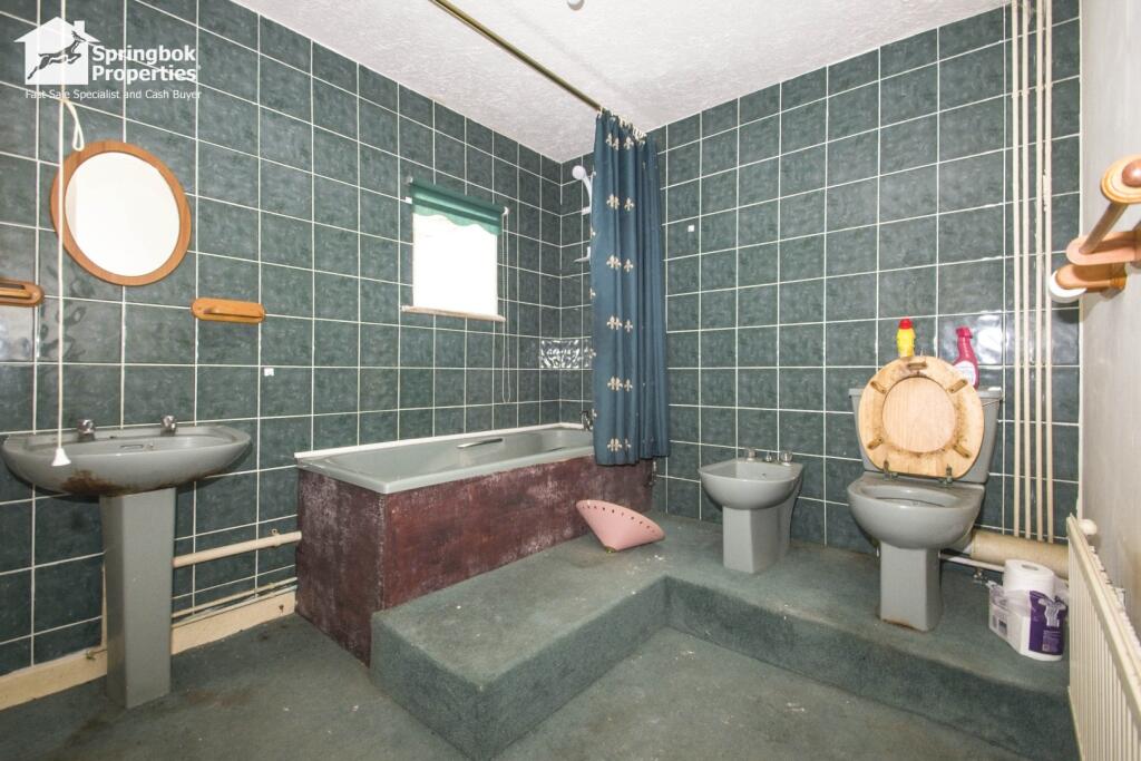 IMAGE 6