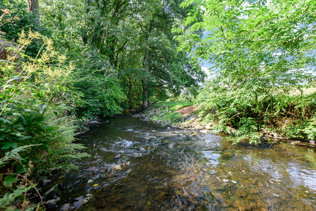 Stream