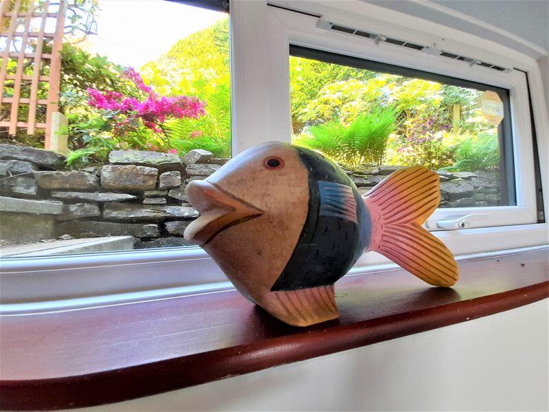 Fishing for Compliments!