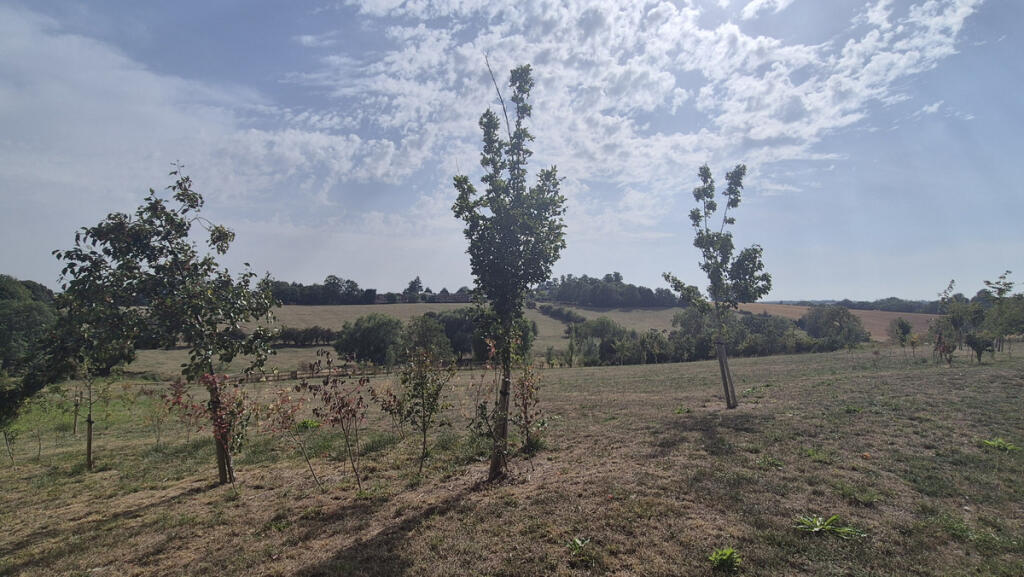 Surrounding Area