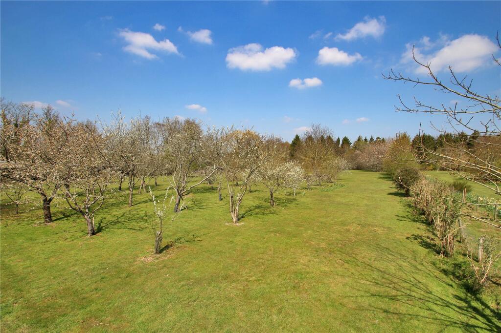 Orchard