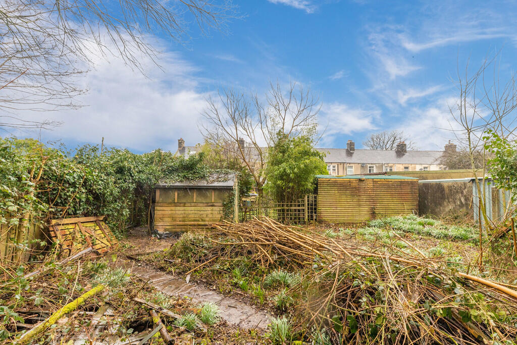 Divorced Garden