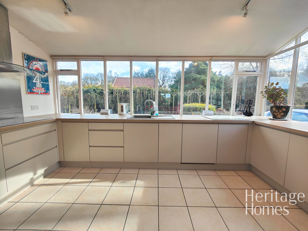 IMG20250311142216-fotor-2025031311155