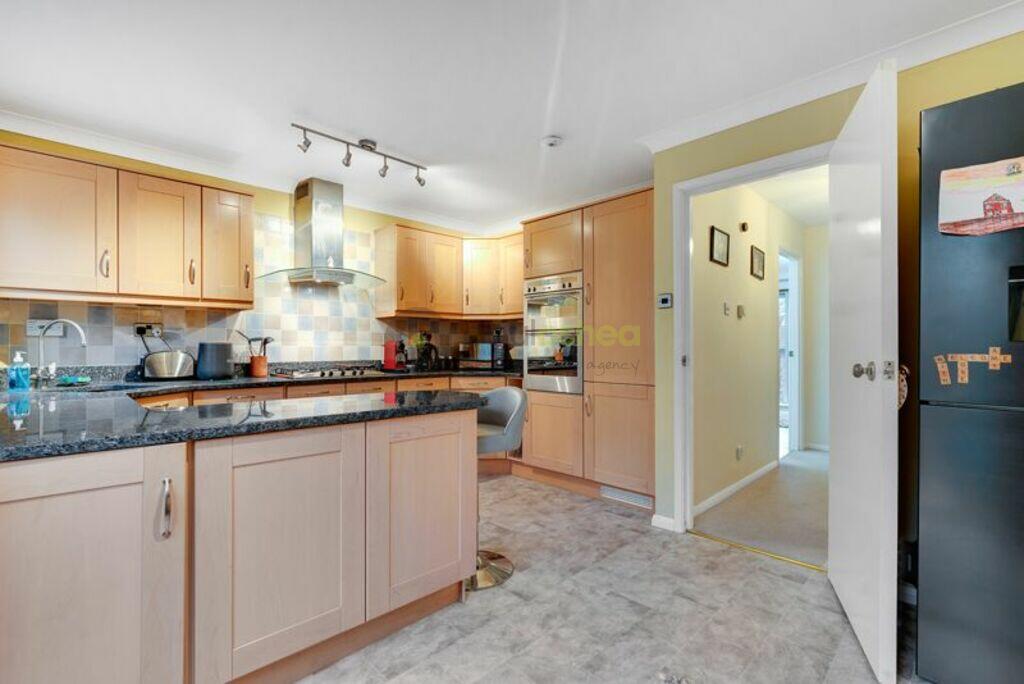 015Paul-O_shea-RENT-CR8-www.steelelondon.co.uk-Pla