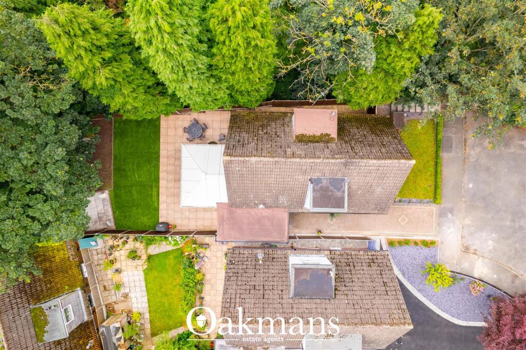 DJI_0305.jpg