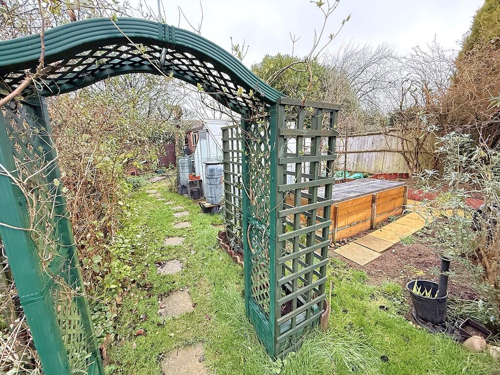 REAR 4