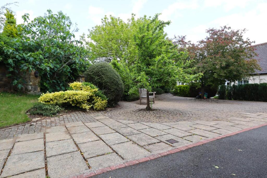 View from front door.jpg