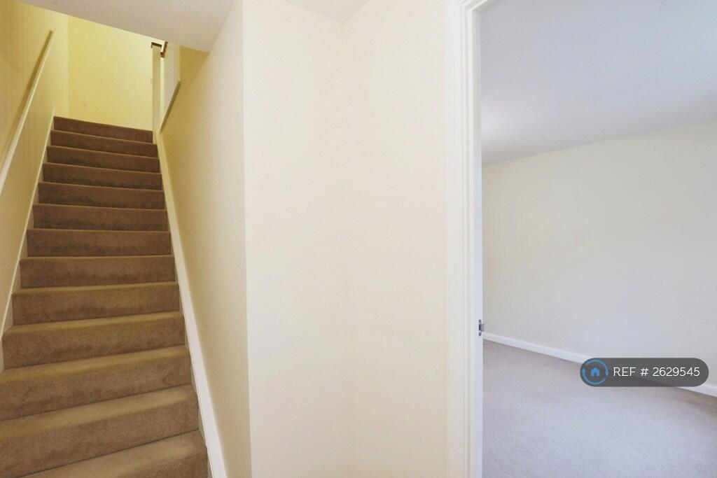 Downstairs Hallway Area