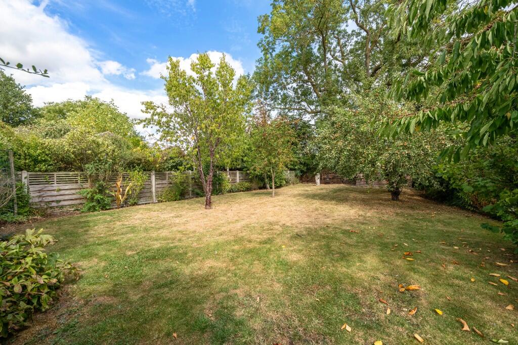 garden