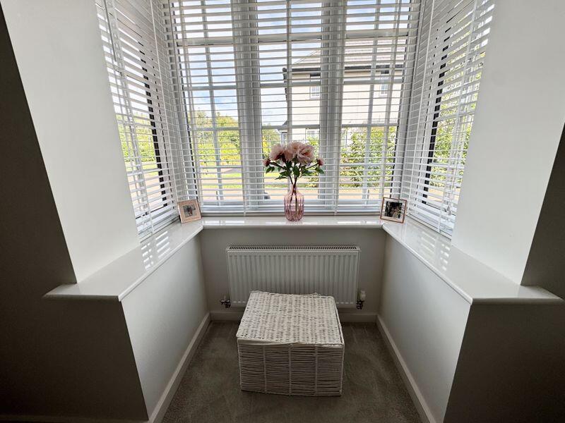 Lounge Window