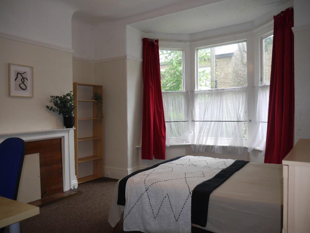 Downstairs bedroom