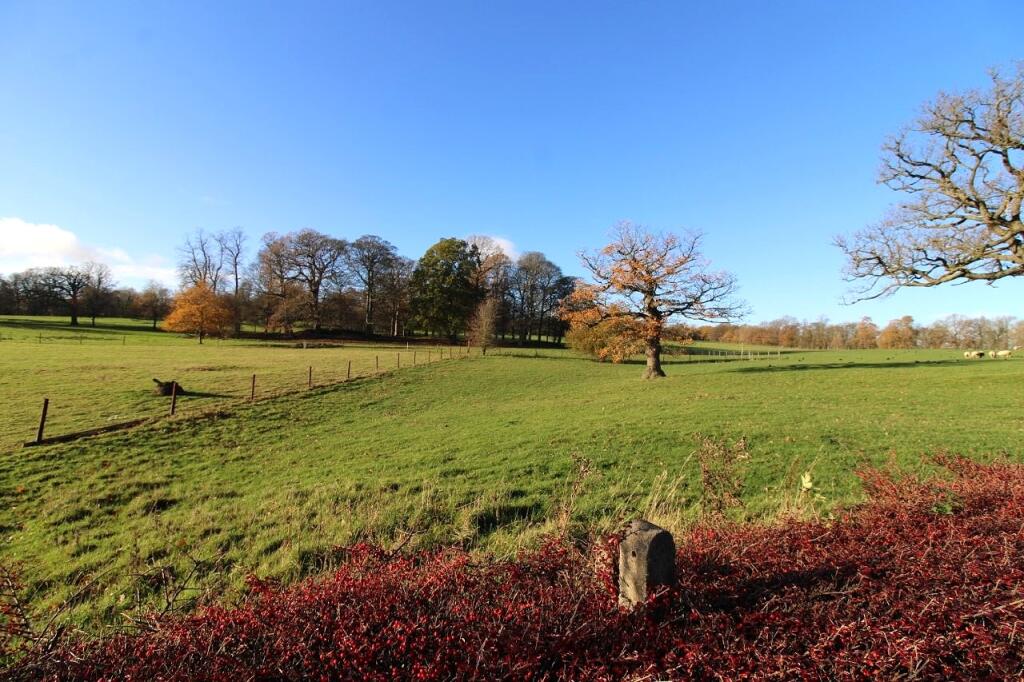 View from rear garden