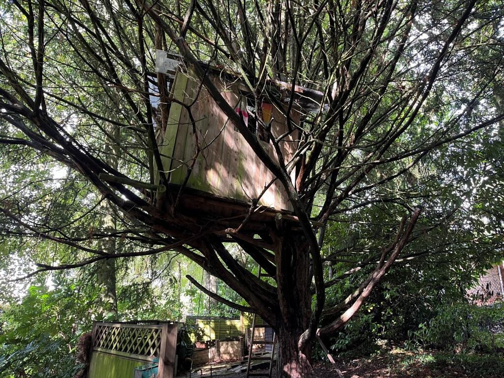 Tree House