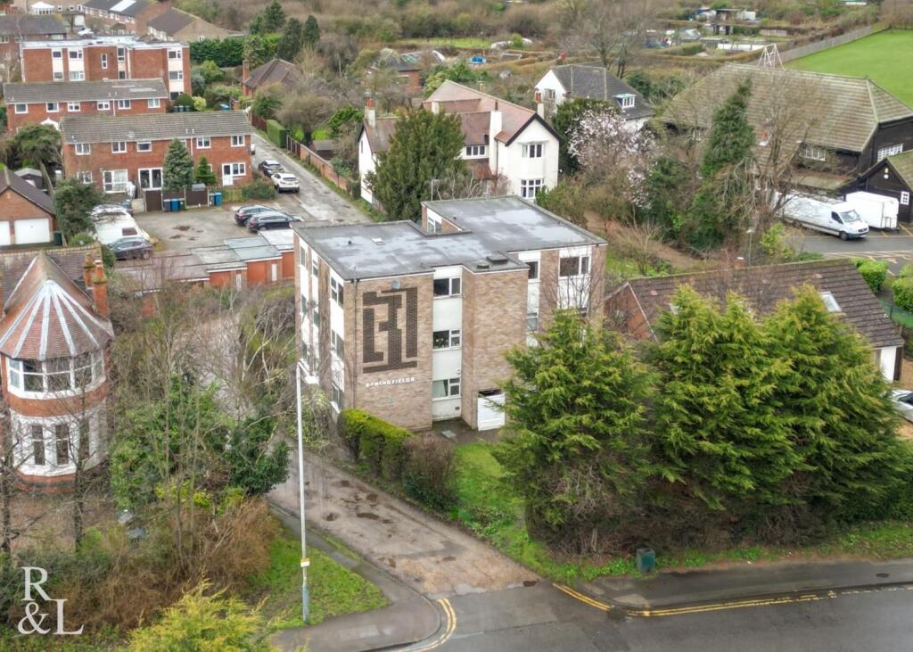 springfields (3).jpg