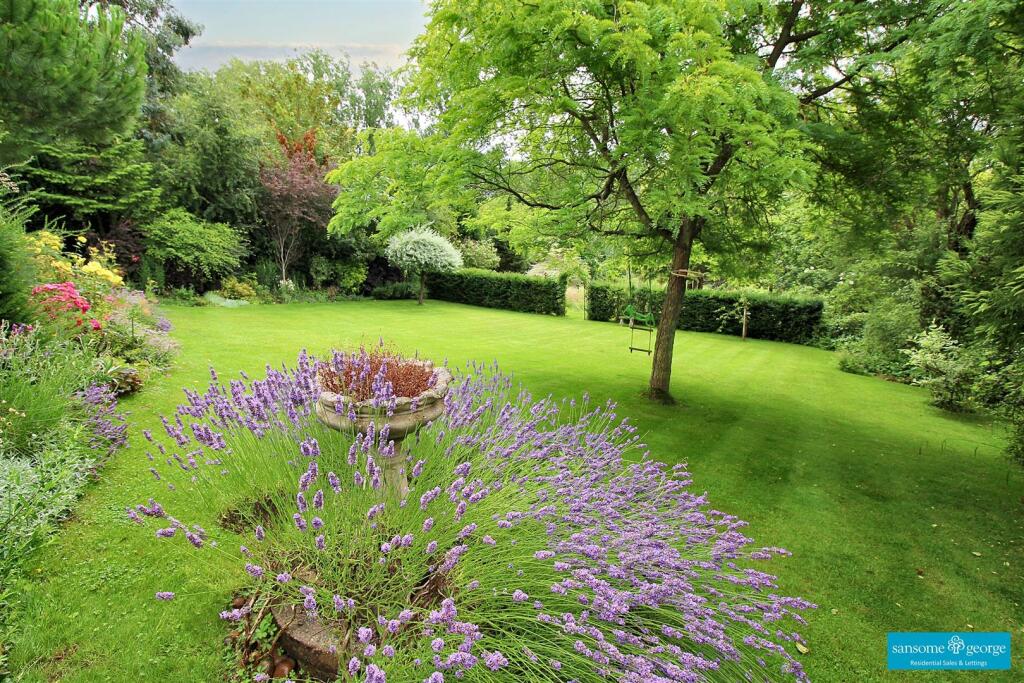 Garden 1