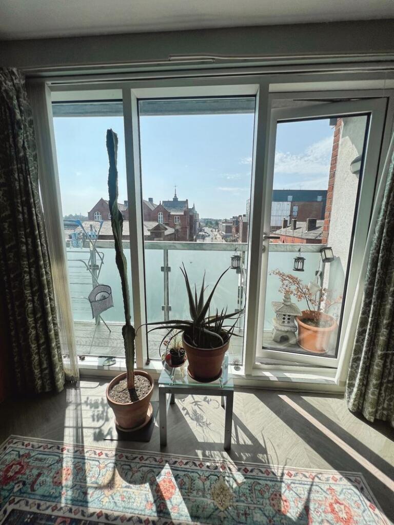 Balcony window