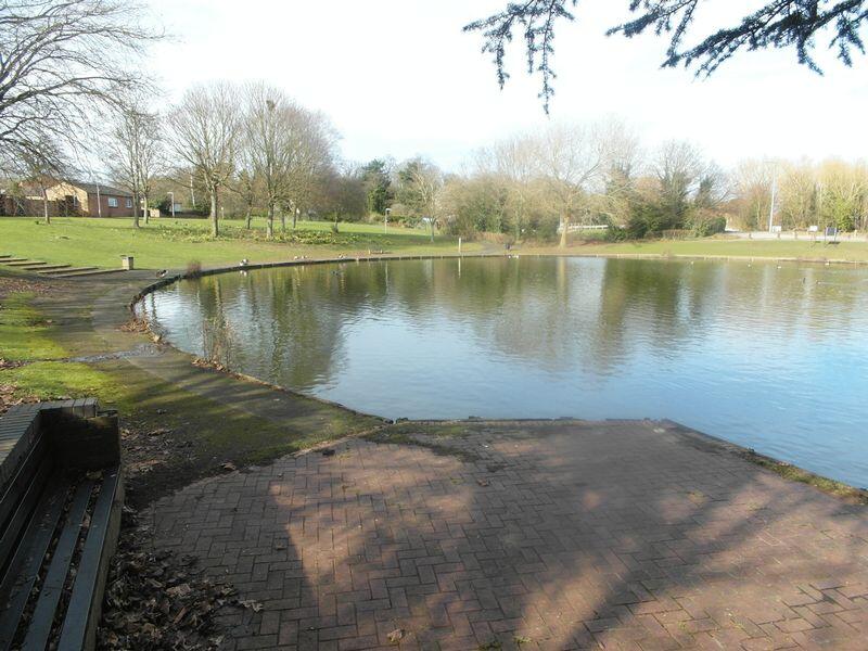 View over fishing pool