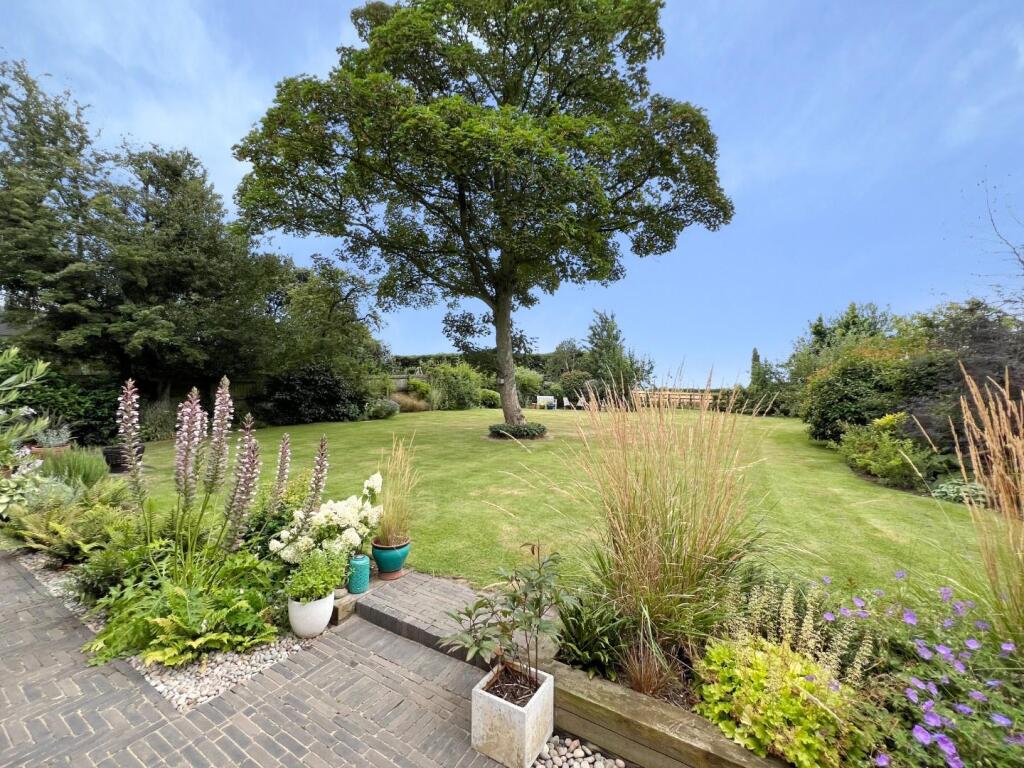 Rear garden