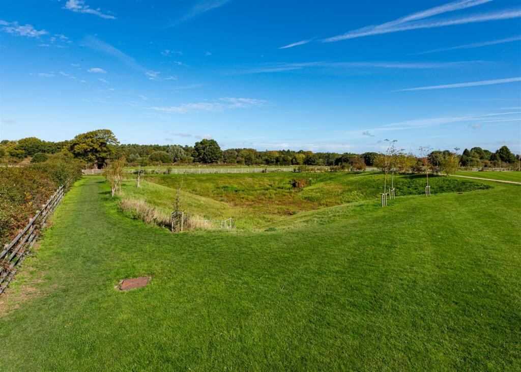 25 Cornflower Meadow-5.jpg