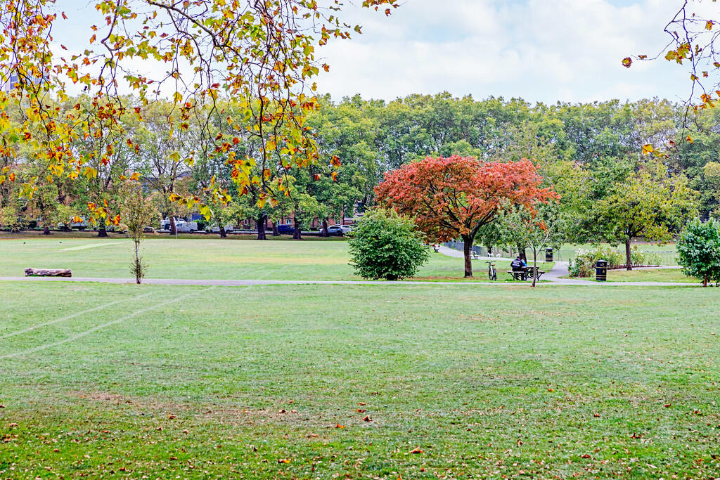 Scawen_Road_47