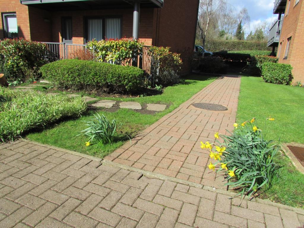 Communal garden