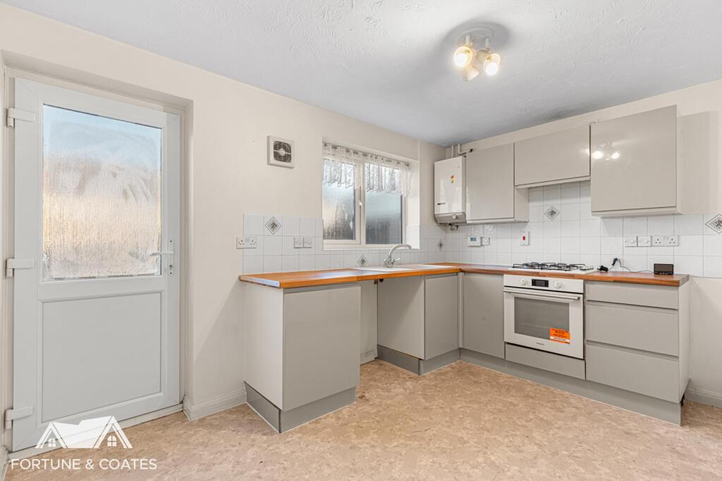 SheldonClose_4.jpg