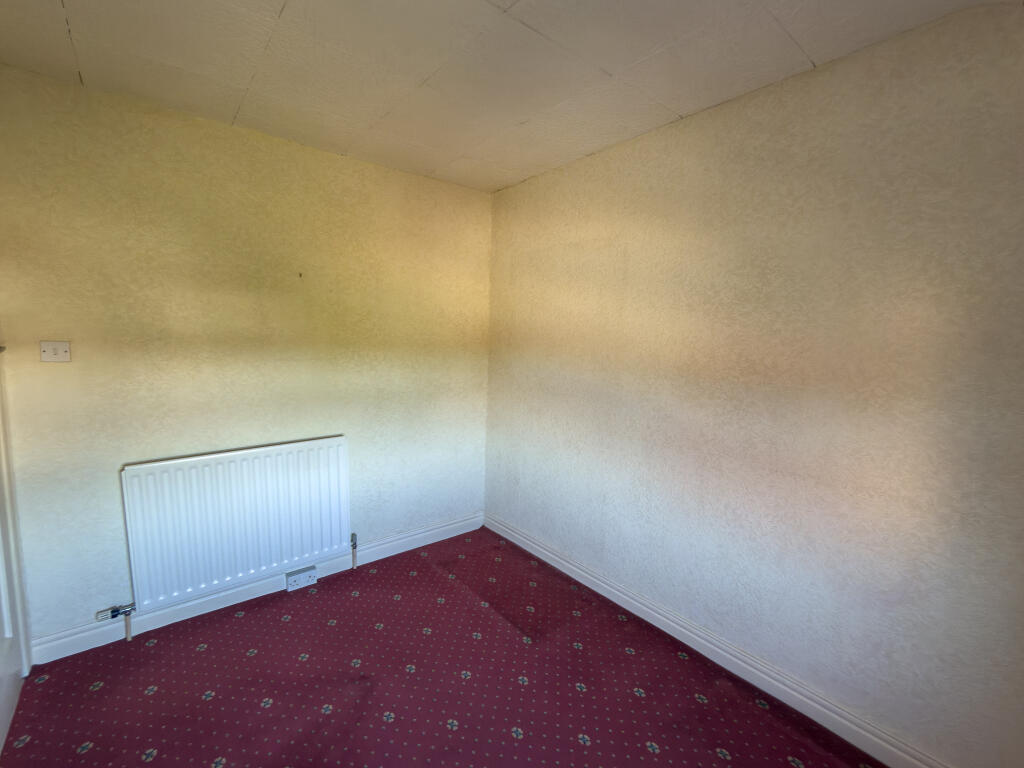 IMG 5156 T202509282048.jpg