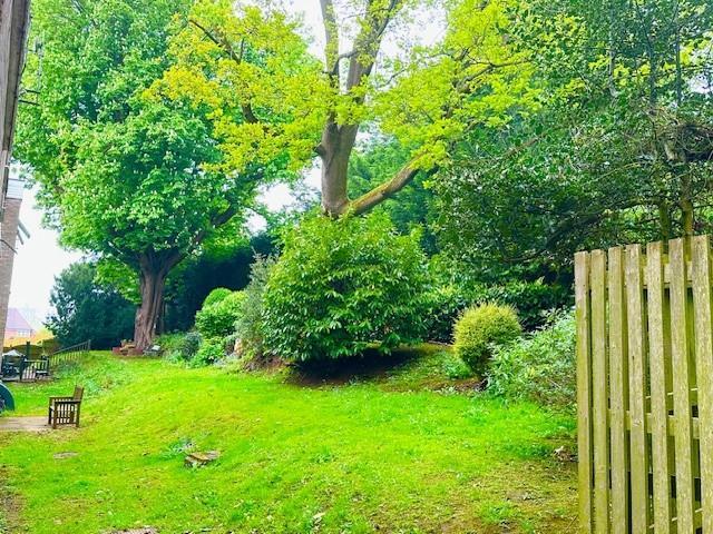 Rear Gardens
