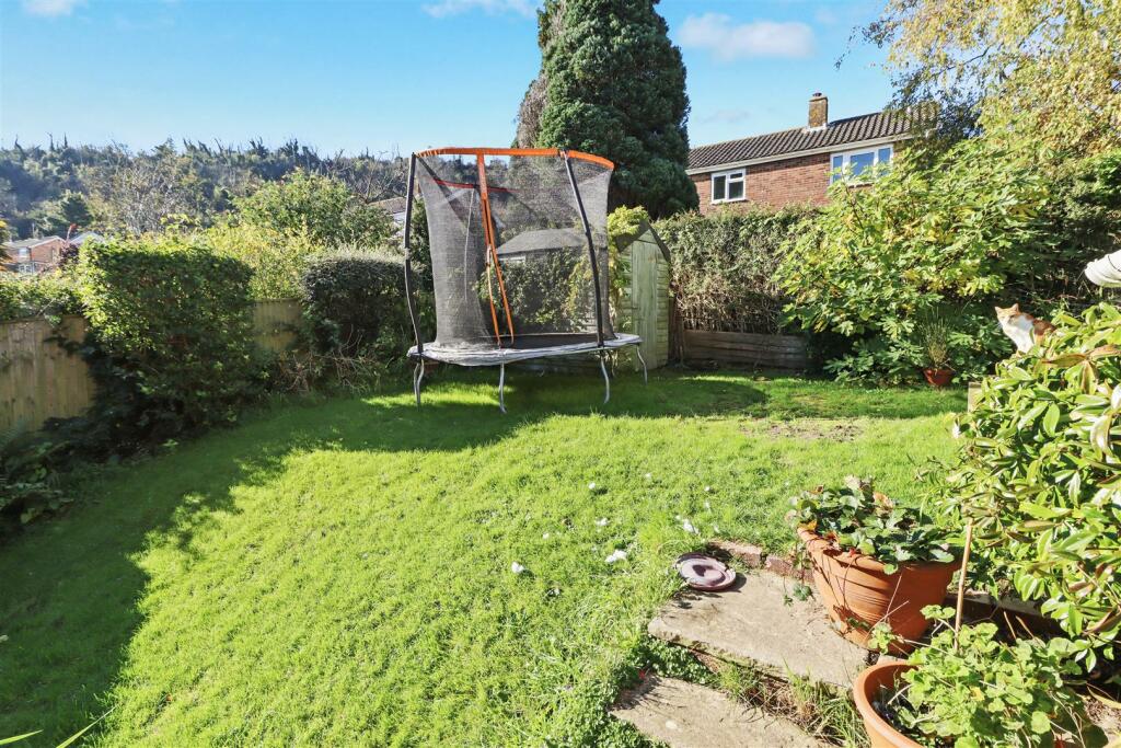 garden #3.jpg