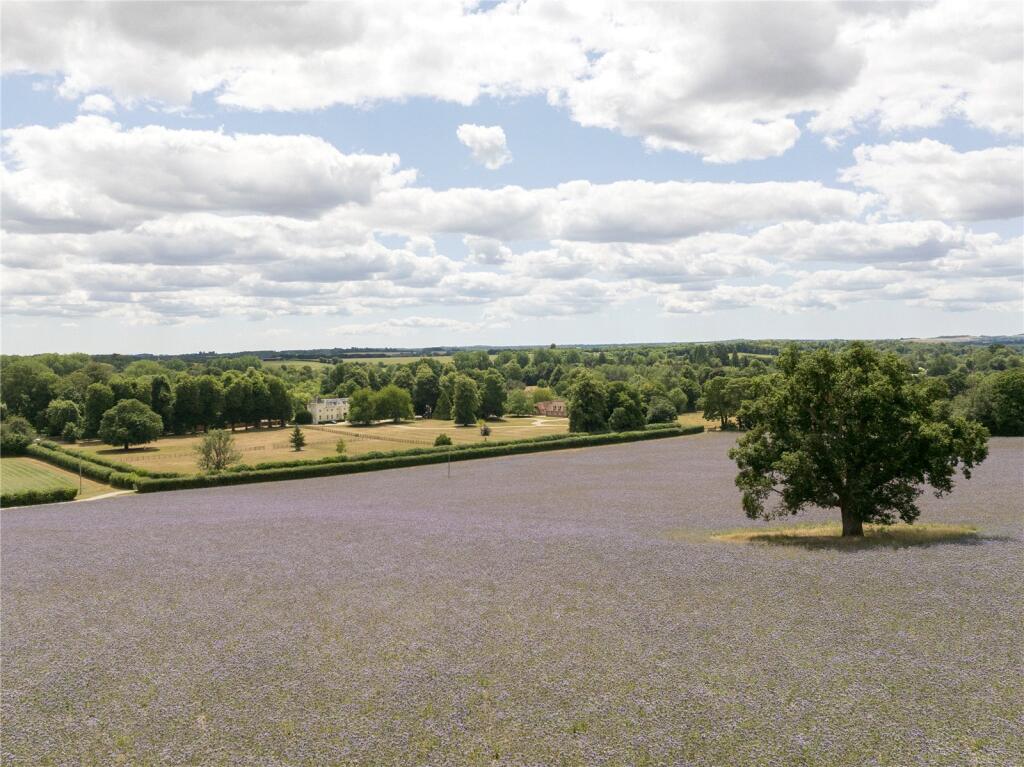 Land