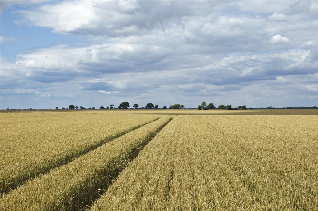 Land 3