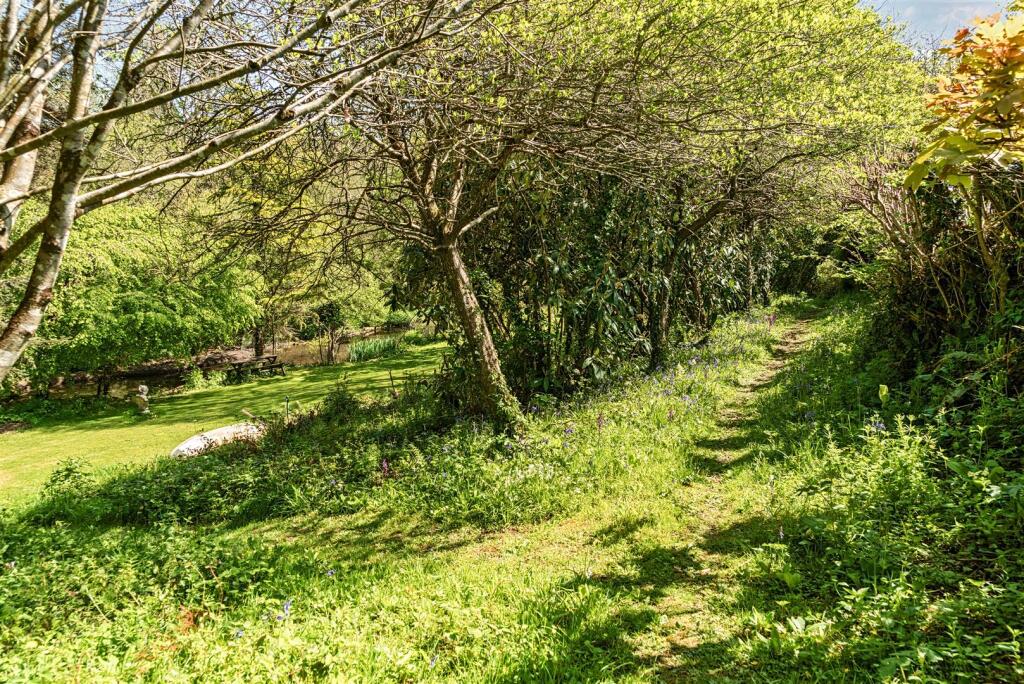 TRH Woodland Walk.jpg