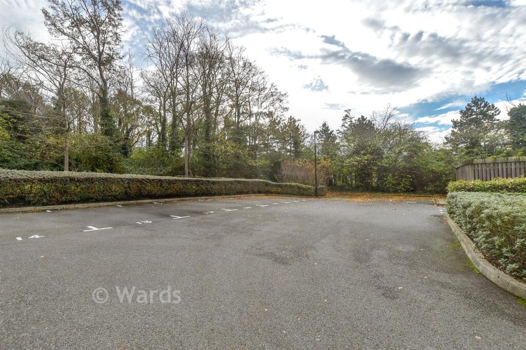 Driveway/Parking
