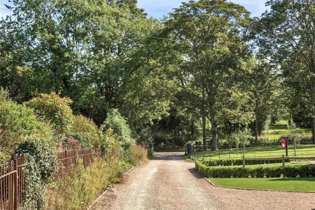 Driveway