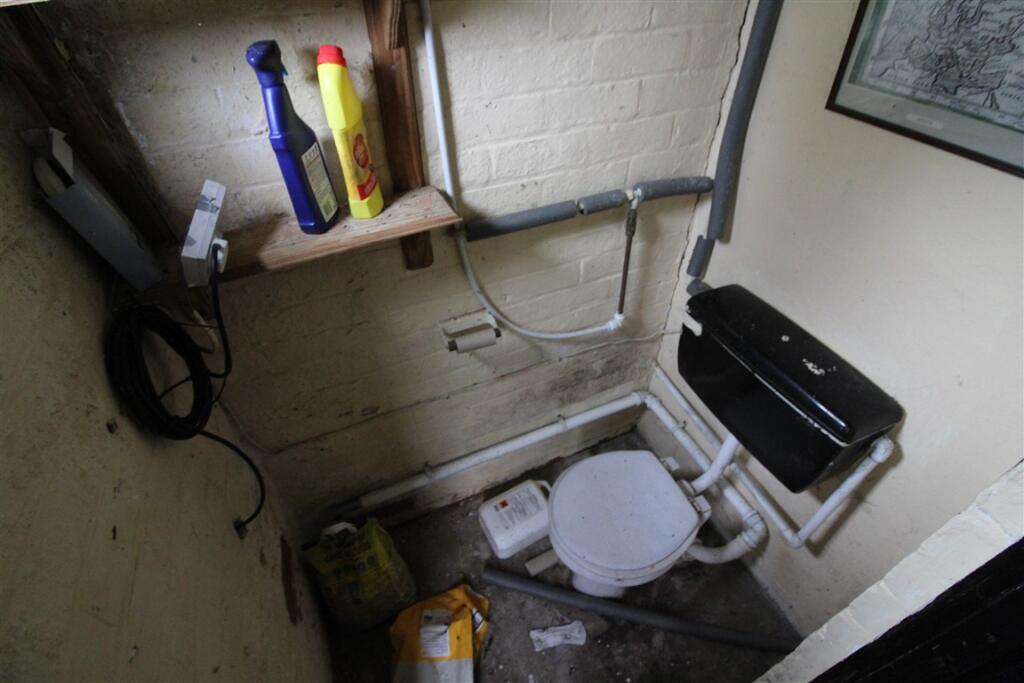 IMG 4850  Medium  T202503280926.jpg