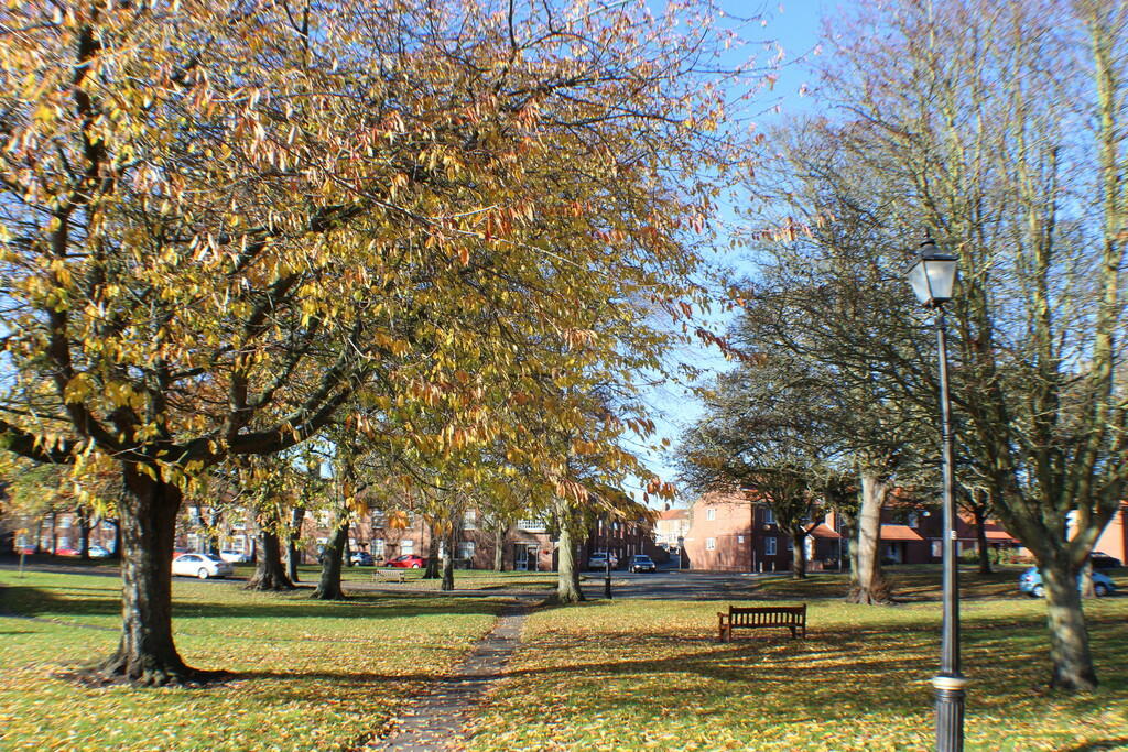 Views of Bridling...