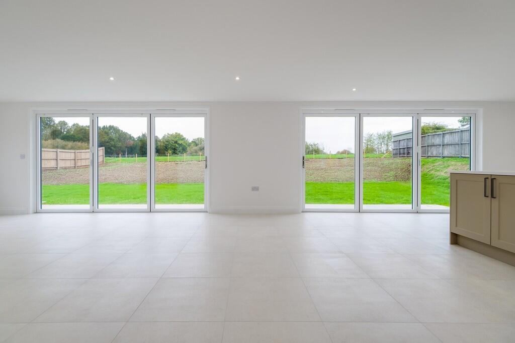 1440px-Elm Tree V...