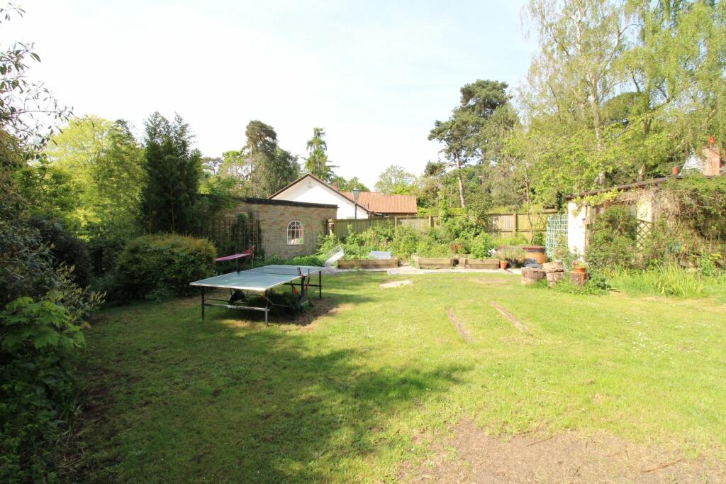 Picture 16
