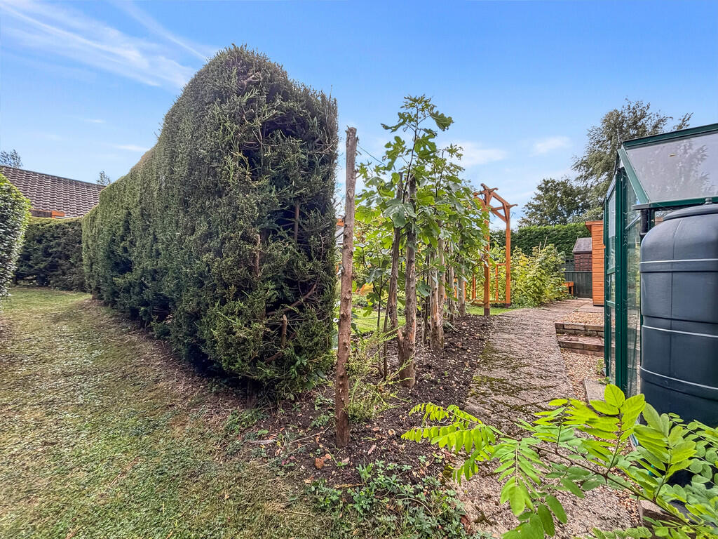 Rear garden 3